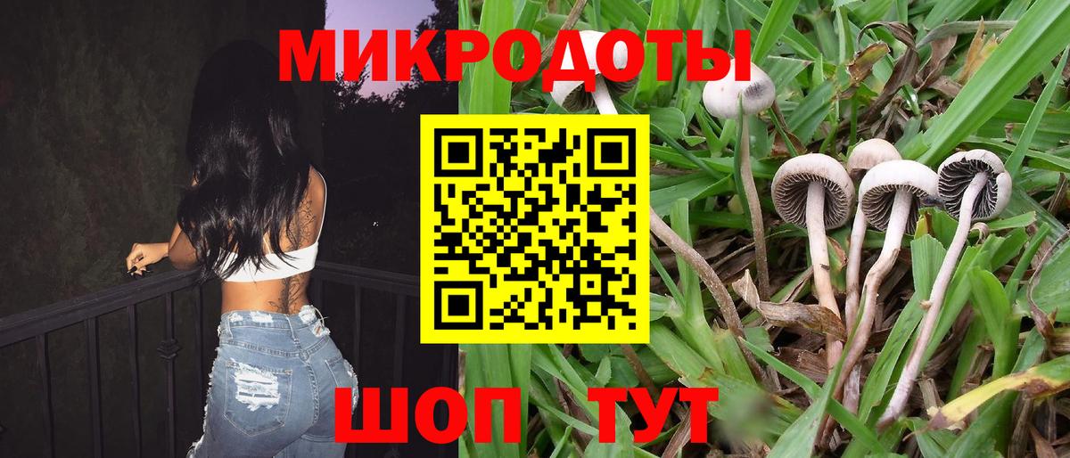 Псилоцибиновые грибы MAGIC MUSHROOMS Звенигород